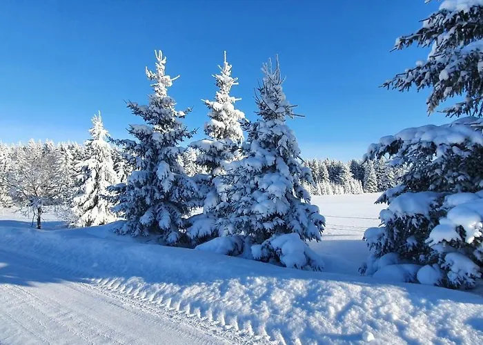 Lägenhet Plesivec *